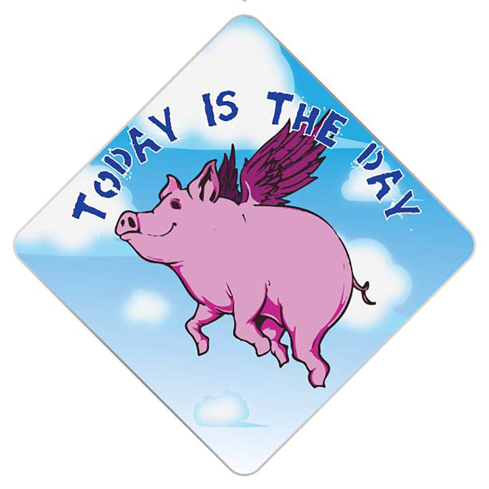 When Pigs Fly Grad Cap Tassel Topper - Tassel Toppers - Professionally Decorated Grad Caps